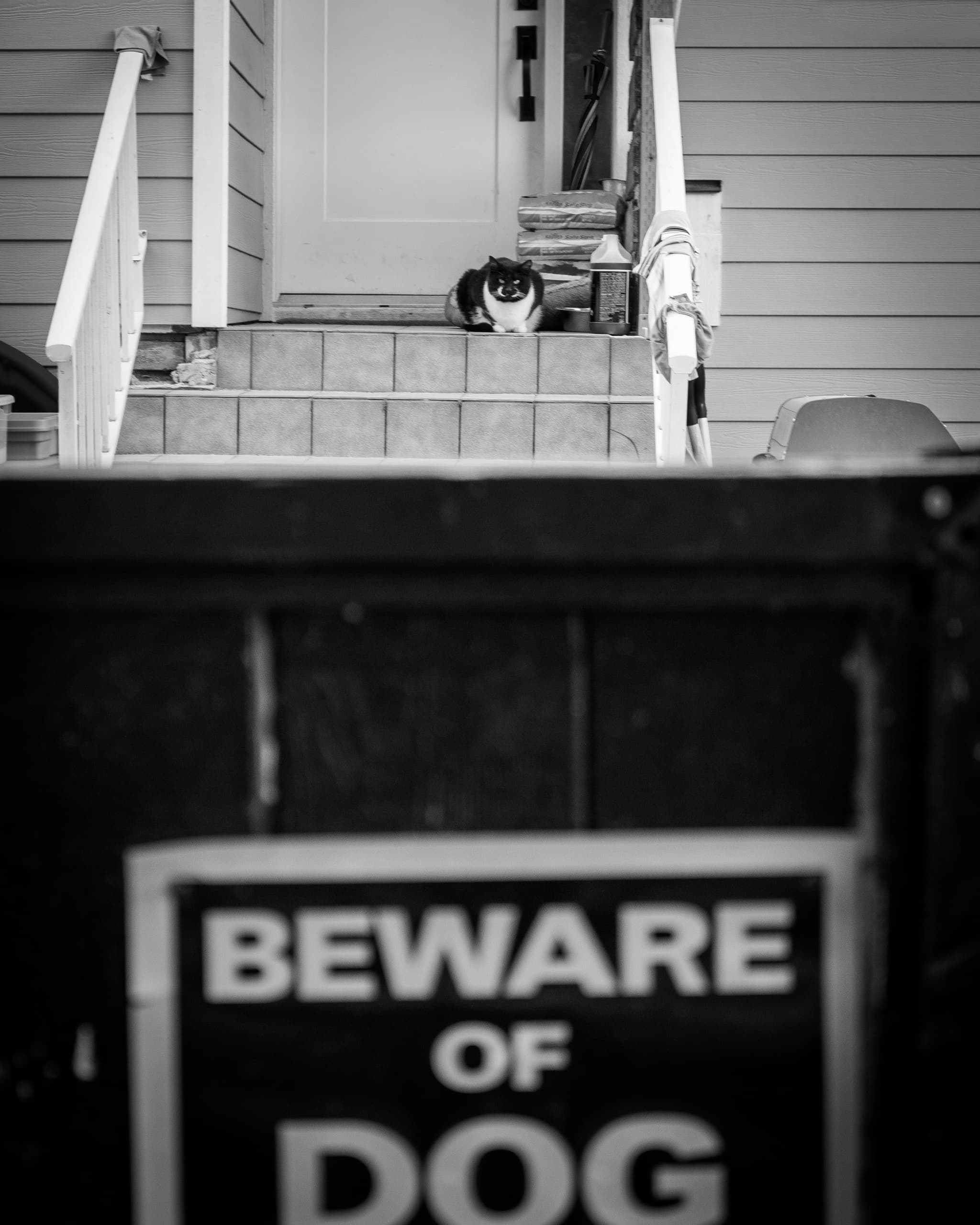 A cat on the front porch behind a sign that says beware of dog