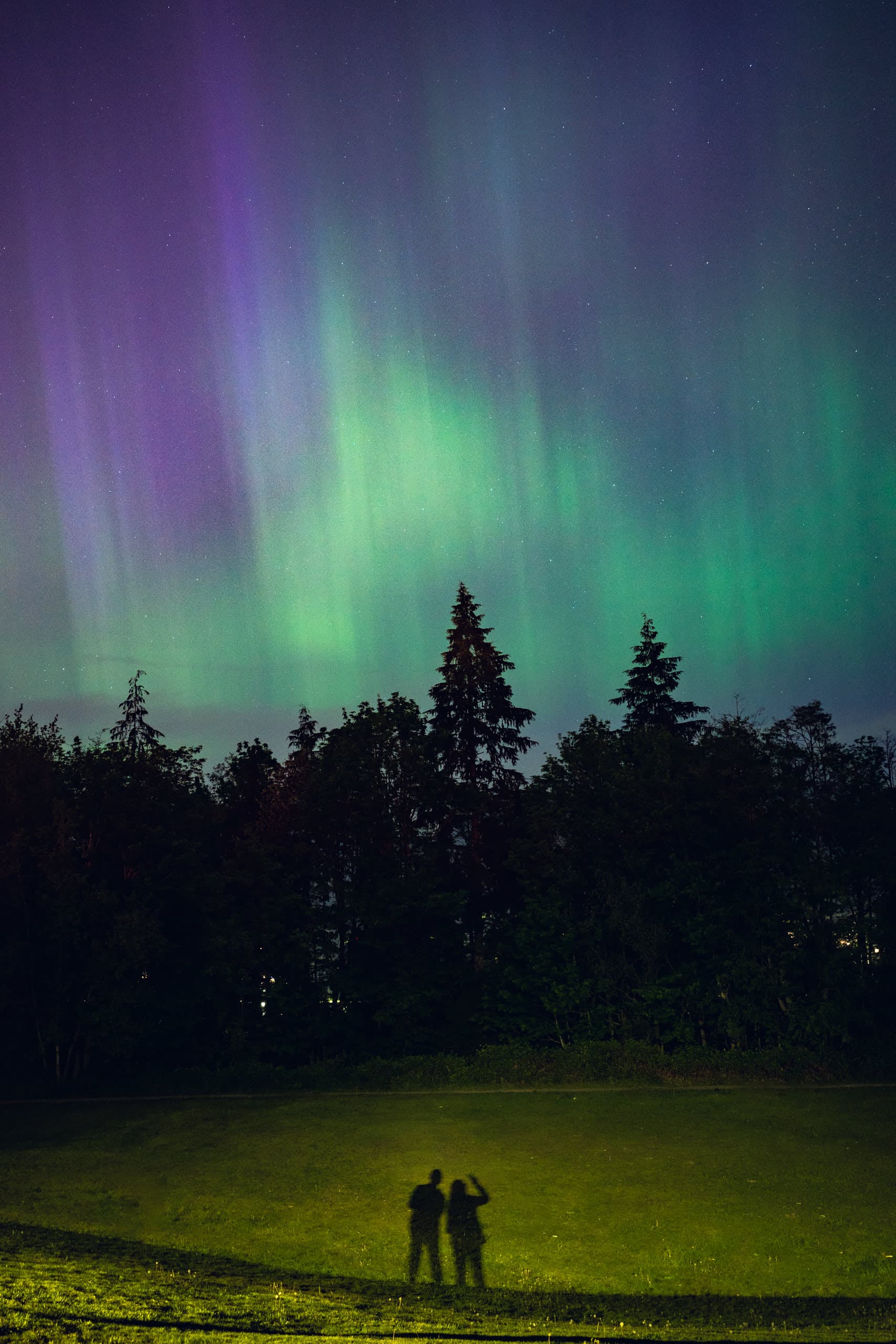 Northern lights above a treeline with shadows of two people casted on the grass below